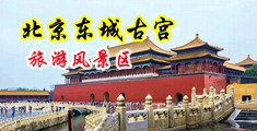专操屁眼视频中国北京-东城古宫旅游风景区